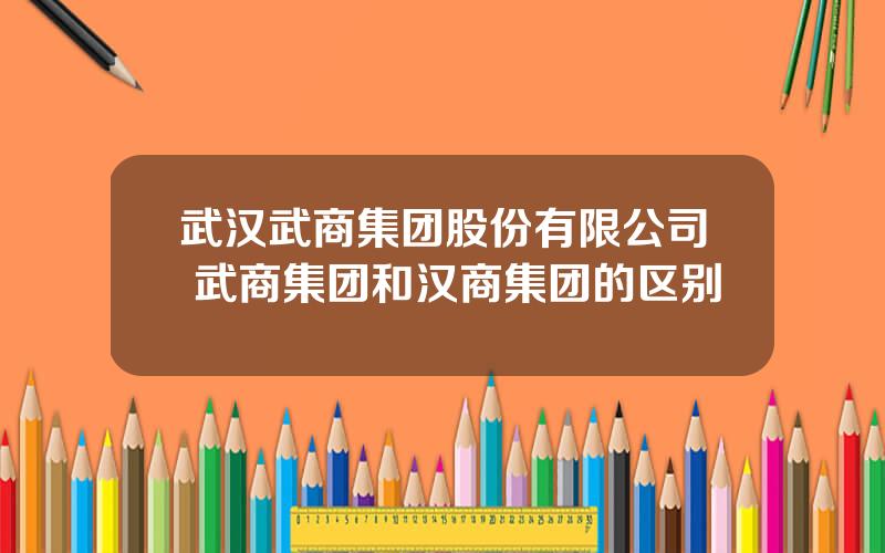 武汉武商集团股份有限公司 武商集团和汉商集团的区别